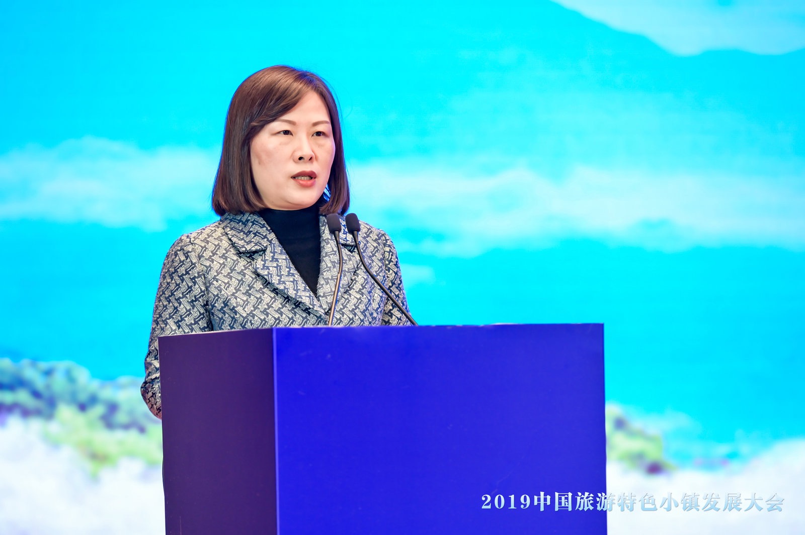 芜湖市副市长王芳:截至今年10月,芜湖旅游收入达到760